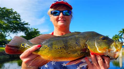 Snapper Creek Canal Miami Dade Peacock Bass Fishing Guide In Florida