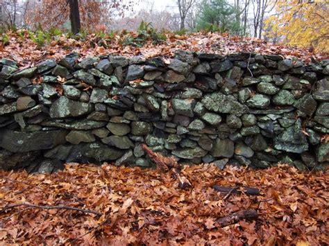 A Picture Each Day A New England Stone Wall