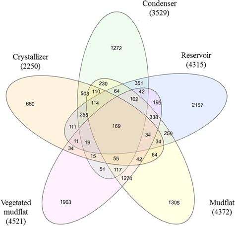 Venn Diagram Showing The Shared Otus Among Different Samples Download