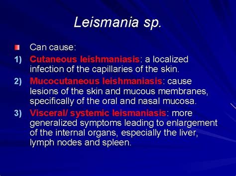 Blood Tissue Flagellates Haemoflagellates Leishmania Spp Assistant Lecturer