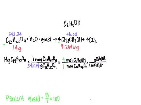 Yeast Fermentation Equation