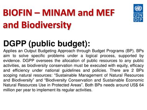 Ppt Biofin The Biodiversity Finance Initiative How Biofin Supports