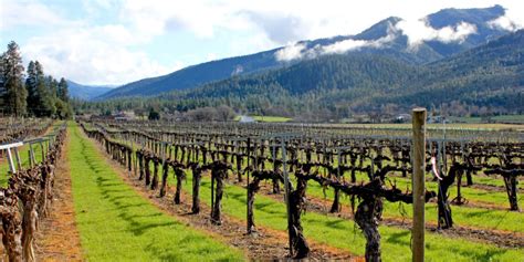 A Guide To Winter Wine Tasting In Beautiful Southern Oregon Left Coast Crafted