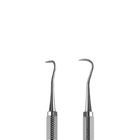 Anterior Jacquette Scaler Uses Informacionpublica Svet Gob Gt