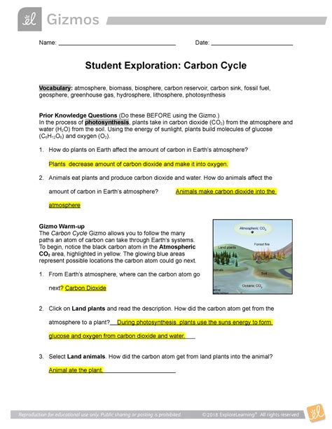 Gizmo Carbon Cycle Name Date Student Exploration Carbon Cycle