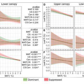 Relationships Between Leaf Size Characteristics Sla Specific Leaf