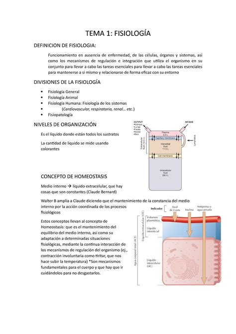 Tema Fisiologia Tema Tema Fisiolog A Definicion De Fisiologia