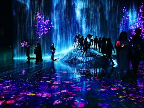 Teamlab Planets Tokyo Toyosu 2020 Lo Que Se Debe Saber Antes De