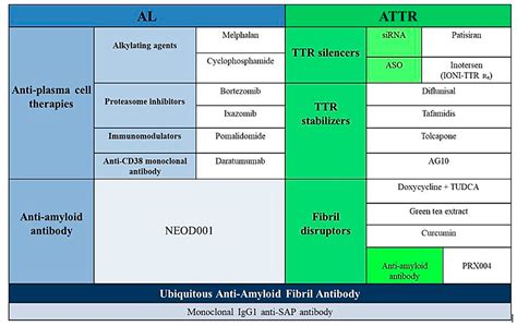 Cardiac Amyloidosis Therapy: A Systematic Review