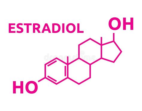 Hormones Concept Stock Vector Illustration Of Hormones 214497215