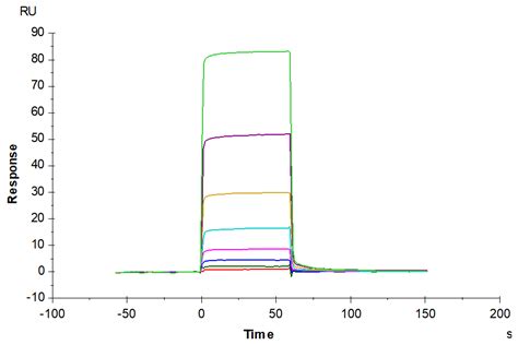 Biotinylated Human Angpt Angiopoietin Protein Apn Hm B Kactus