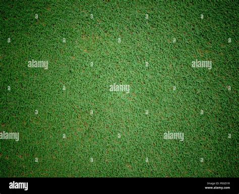 Soccer football grass field Stock Photo - Alamy