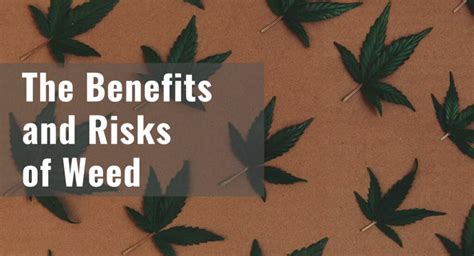 6 Health Benefits of CBD Oil and Potential Side Effects - DosVape