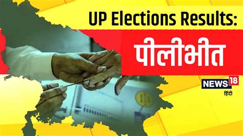 Up Election Result 2022 पीलीभीत में तीन सीटों पर Bjp आगे एक पर पीछे