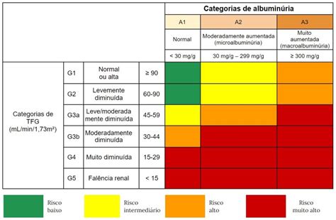 Doen A Renal Cr Nica Dr Gerard Nefrologista