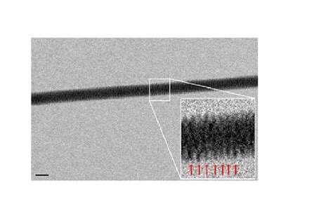 What Does Dna Look Like Under A Microscope With Pictures Optics Mag