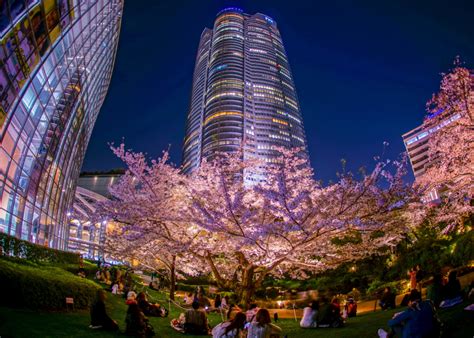 Japan Luxury Travel and Lifestyle Magazine - The Luxury Japan