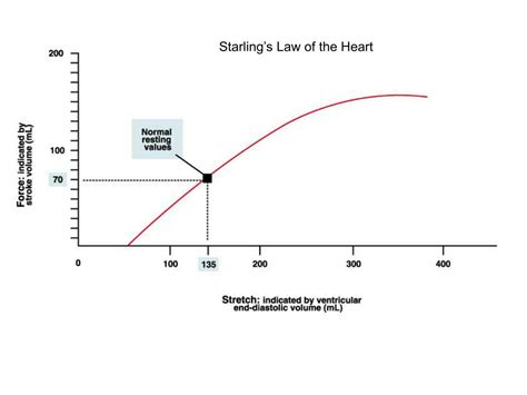 PPT Heart Length Tension Relationships Starlings Law Of The Heart