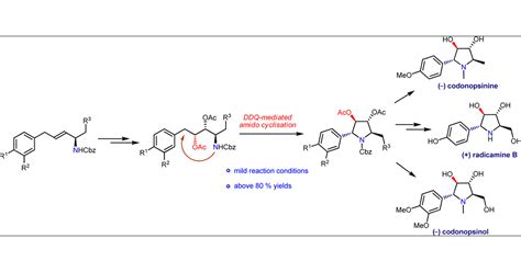 DDQ Promoted Benzylic Allylic Sp3 CH Activation For The