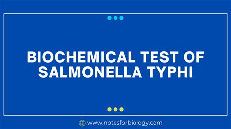 Salmonella Typhi Biochemical Test