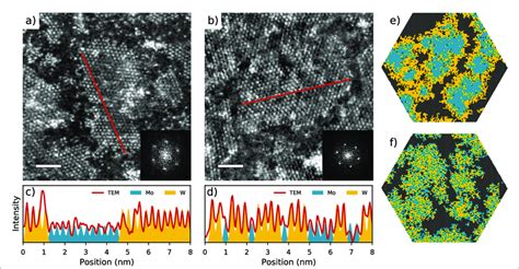 HAADF STEM Imaging Of Sub Monolayer Samples Of ALD Grown Mo 1x WxS2