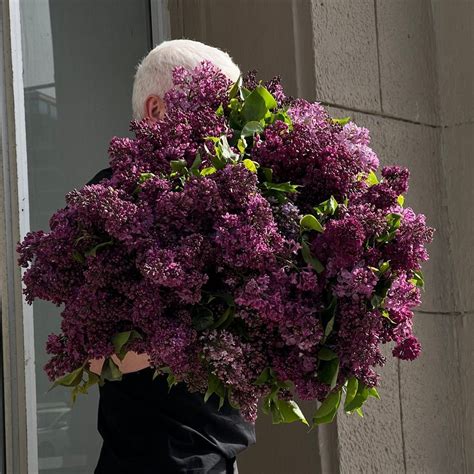 Топ-10 популярных цветов для подарка: что выбрать для особых случаев ...