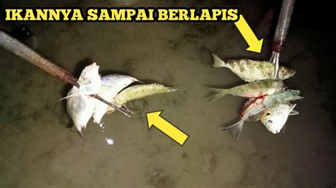 Ikannya Terlalu Banyak Tak Boleh Di Sia Siakan Rupanya Banyak Ikan