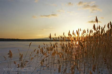 Saulriets Saulriets Redzeteu