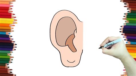 Como Dibujar Una Oreja Paso A Paso Y Muy Fácil