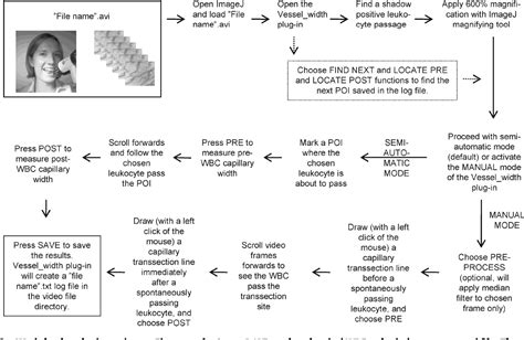 Figure From Indirect Measurement Of The Vascular Endothelial