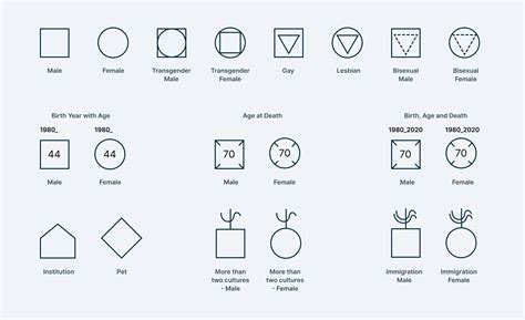 70+ Genogram Symbols Explained: A Visual Guide for Professionals | Creately