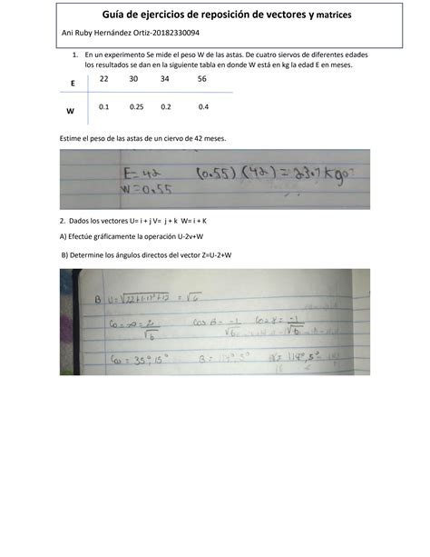 Solution Reposicion De Vectores Y Matrices Studypool