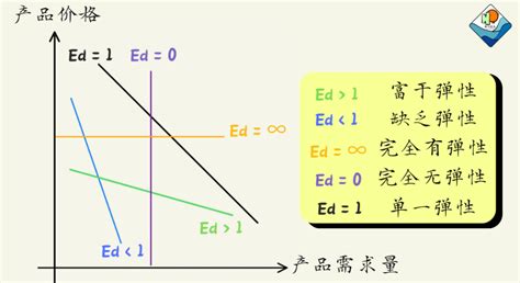 4种弹性理论什么是需求的价格弹性？其公式和曲线用例子融会贯通 青鸟在海