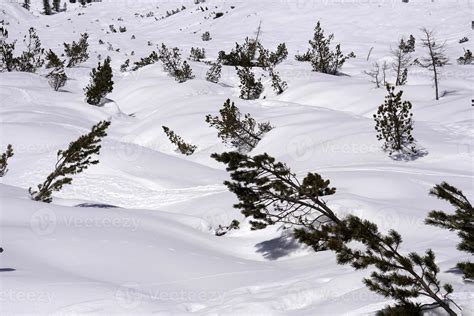 Avalanche Snow Slide In Dolomites Mountains Stock Photo At