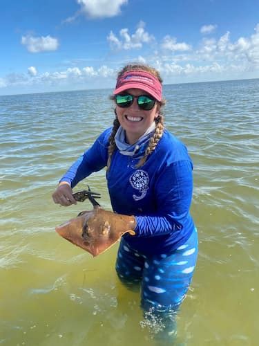 Wells Shark Biology And Fisheries Lab Texas A M Galveston Tx