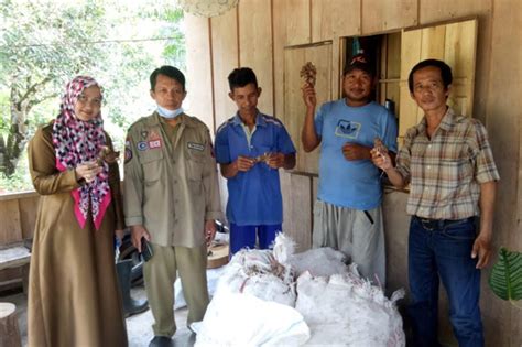 Dua Poktan Desa Lampuawa Terima Bantuan Benih Jahe Merah