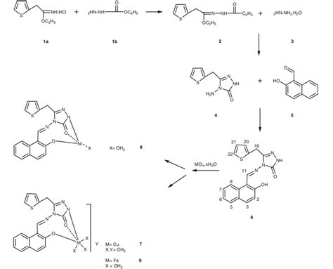 Scheme 1 Synthesis And Structure Of The Ligands And Complexes