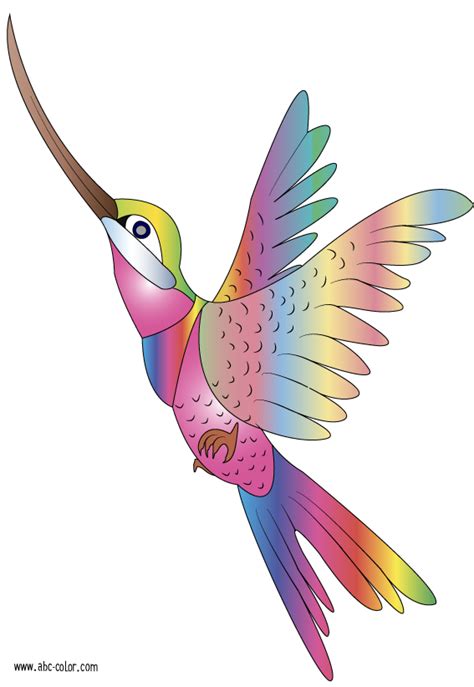 Free Hummingbird Clipart at GetDrawings | Free download