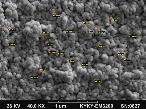 Sem Image Of Copper Oxide Nanoparticles Download Scientific Diagram