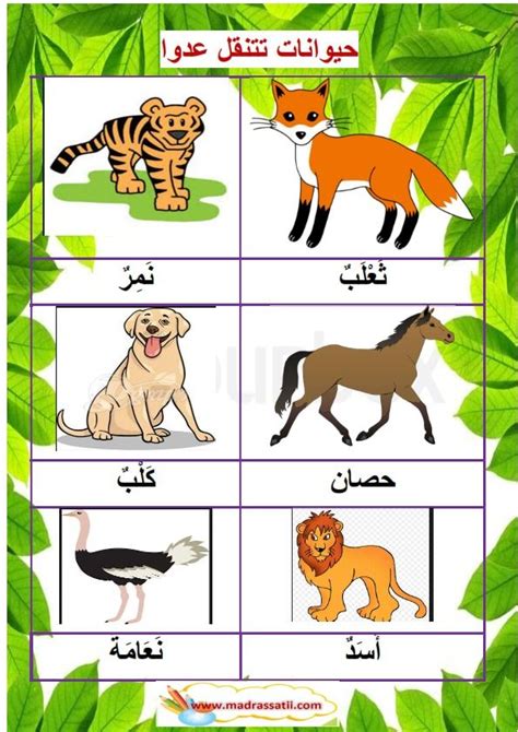 حيوانات تتنقل عدوا ، قفزا ، سباحة ، طيرانا و مشيا - موقع مدرستي | Arabic kids, Kids, Animals