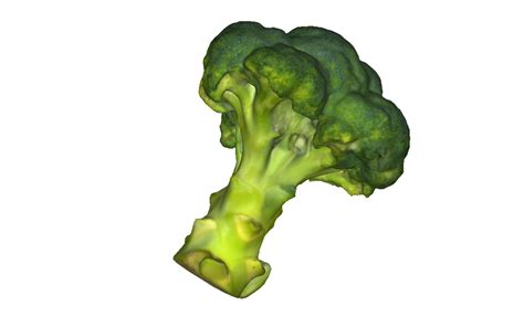 3d Broccoli Scan Scanner Turbosquid 1641311