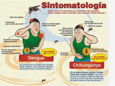 Eugenia Reboll Tratamiento Natural Para La Chikungunya