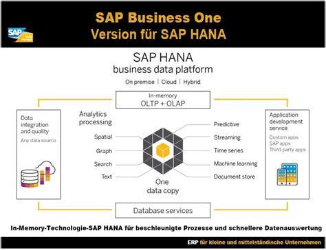 Sap Business One Hana Mit In Memory Technologie