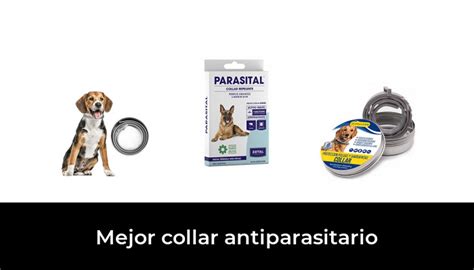 46 Mejor collar antiparasitario en 2022 según los expertos