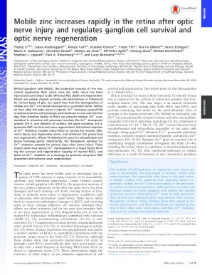 Fillable Online Mobile Zinc Increases Rapidly In The Retina After Optic