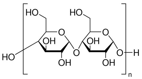 Starch From Corn Practical Gr S Kg Sigma Aldrich Sls