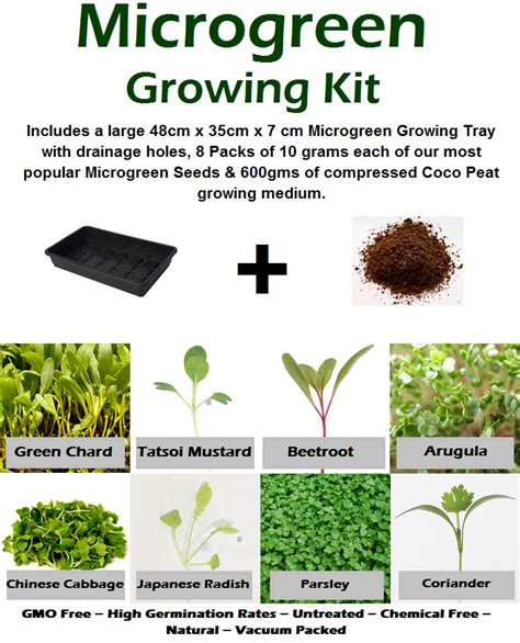 Microgreen Growing Kit incl Seeds, Growing Tray & Growing Medium ...