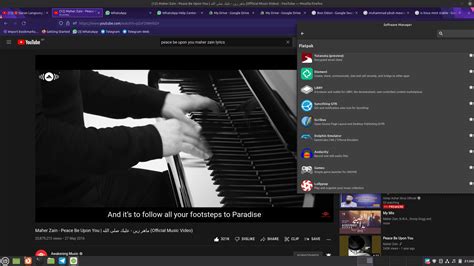 basic linux mint  day rlinuxmint