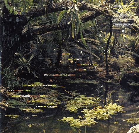 Talking Heads Naked LP Jpc De