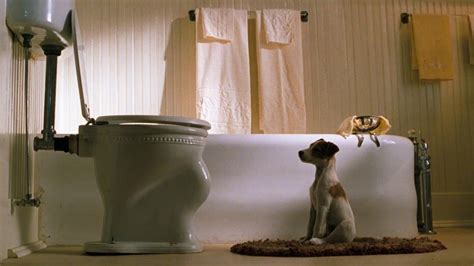 #224 - My Dog Skip (2000) • CINEJOUR